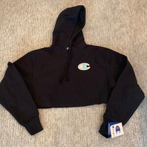 Cute BNWT cropped hoodie